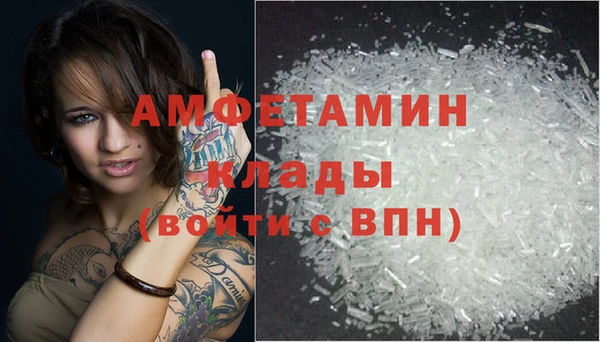 стаф Вяземский